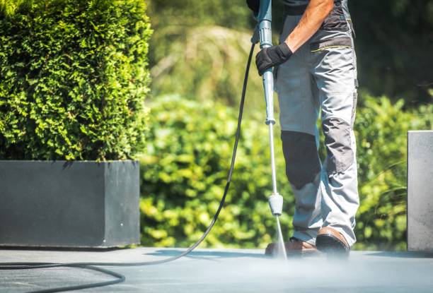 Professional Pressure Washing Services in Springfield, NJ